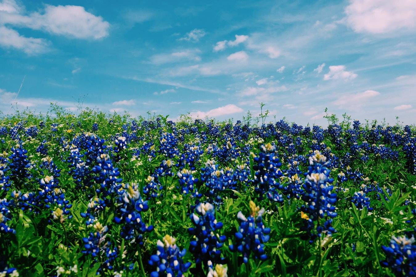 Take advantage of the seasons in your Marketing – It’s time to focus on Spring