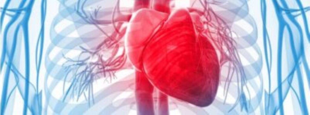 American Heart month