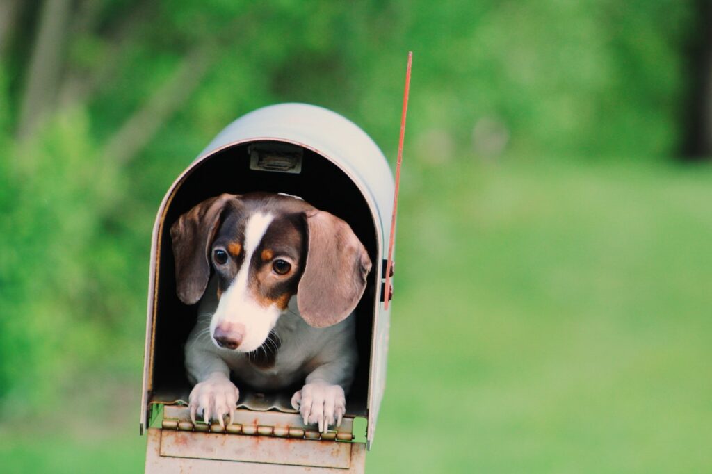 trust direct mail